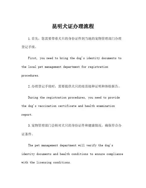 昆明犬证办理流程