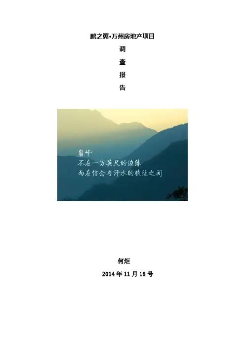 何炬市场调查报告