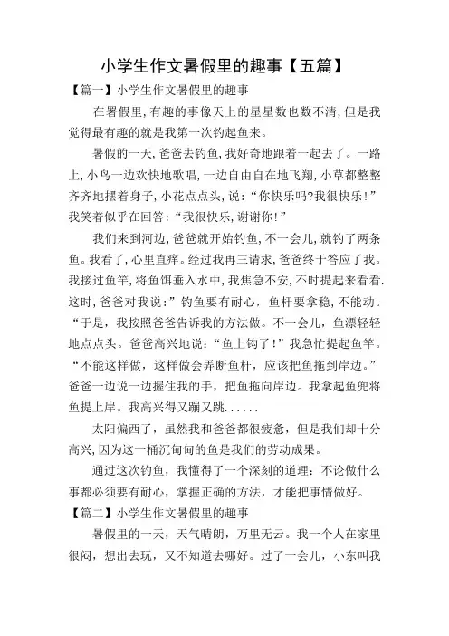 小学生作文暑假里的趣事【五篇】