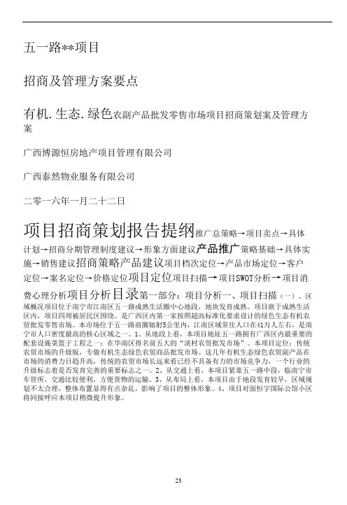 南宁市五一路某某某项目招商方案