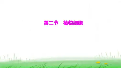 人教版七年级生物上册第一单元第二章第二节植物细胞课件