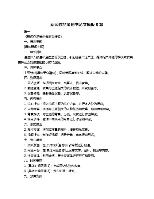 新闻作品策划书范文模板3篇