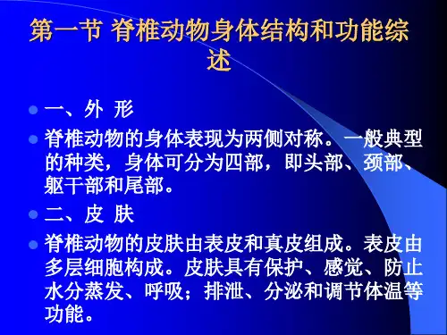脊椎动物总结