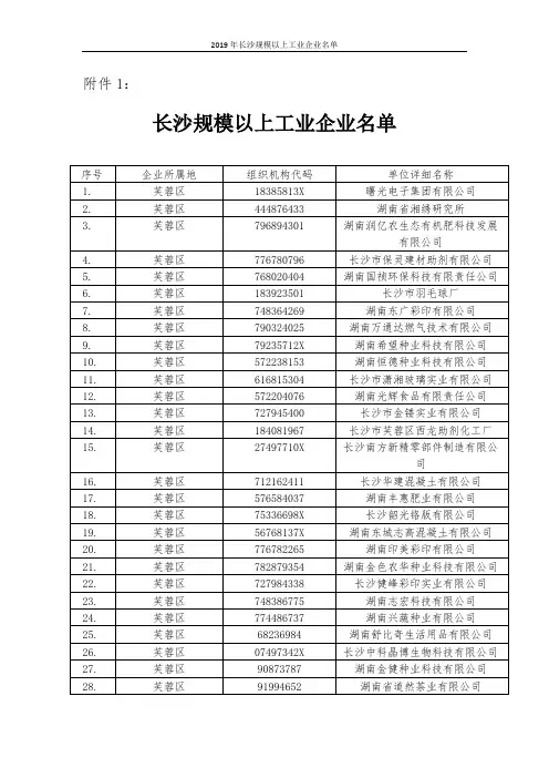 2019年长沙规模以上工业企业名单