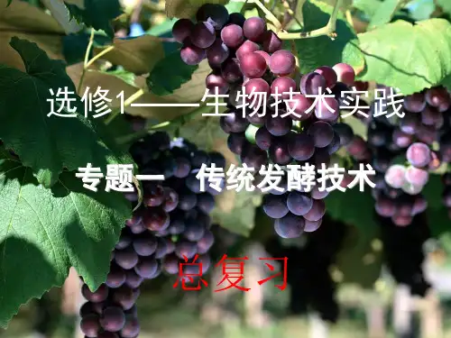 高中生物选修1一专题复习