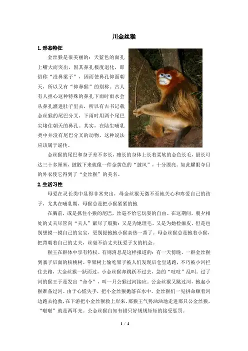 冀少版生物七年级上册_动物小档案：金丝猴