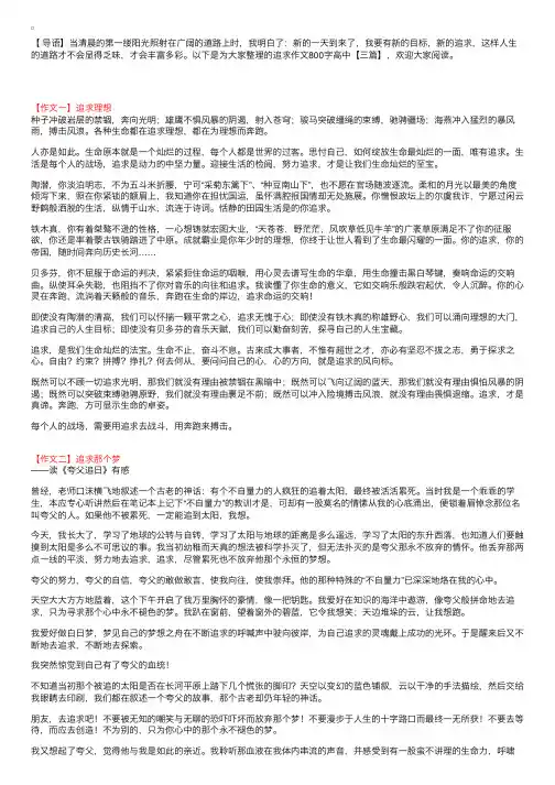 追求作文800字高中【三篇】
