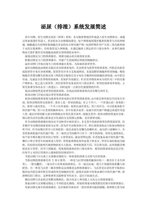 泌尿(排泄)系统