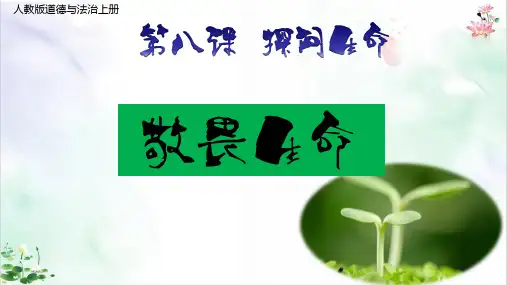 道德与法治部编版《敬畏生命》ppt导学课件