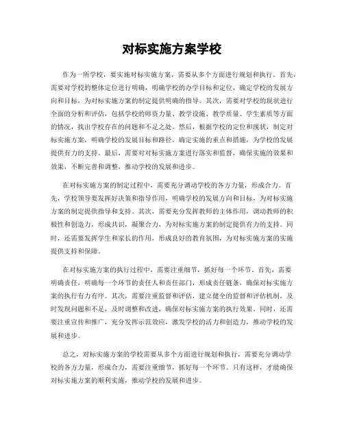 对标实施方案学校