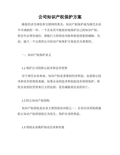 公司知识产权保护方案