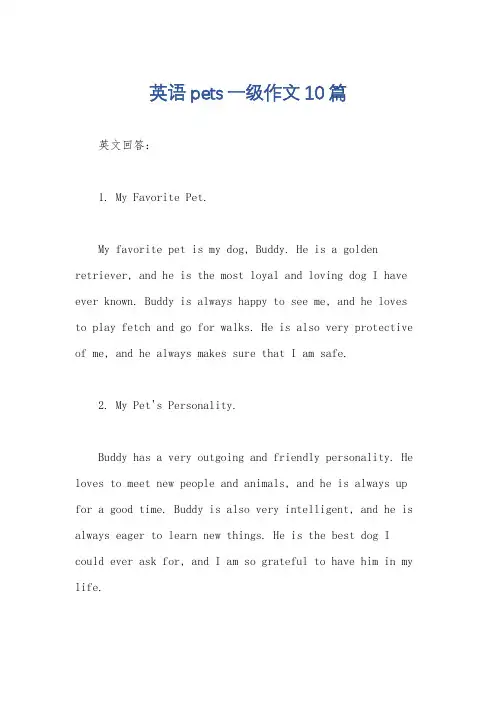英语pets一级作文10篇