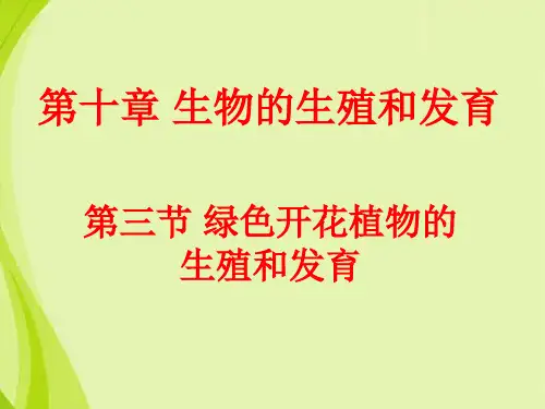 《第三节 绿色开花植物的生殖和发育》 课件