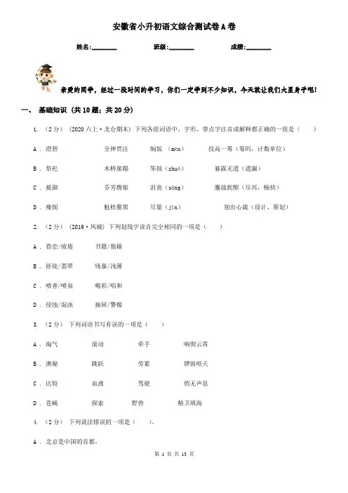 安徽省小升初语文综合测试卷A卷