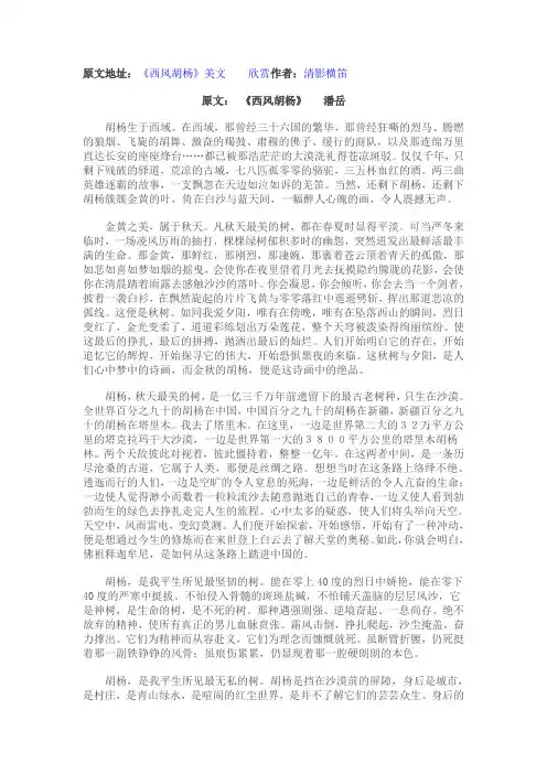 西风胡杨