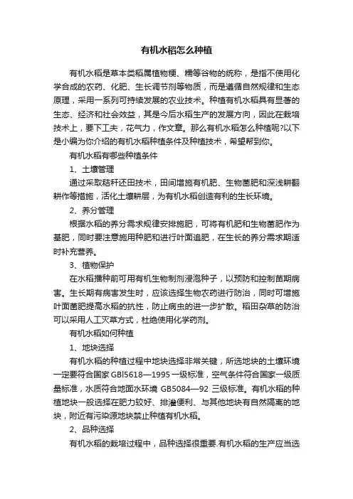 有机水稻怎么种植