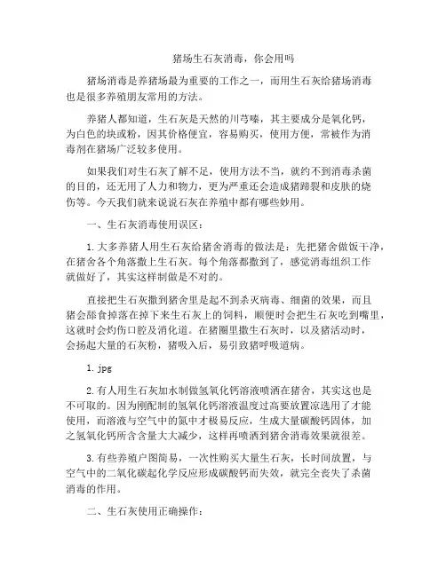 猪场生石灰消毒,你会用吗
