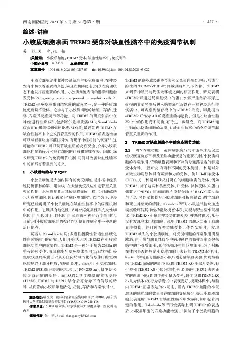 小胶质细胞表面TREM2受体对缺血性脑卒中的免疫调节机制