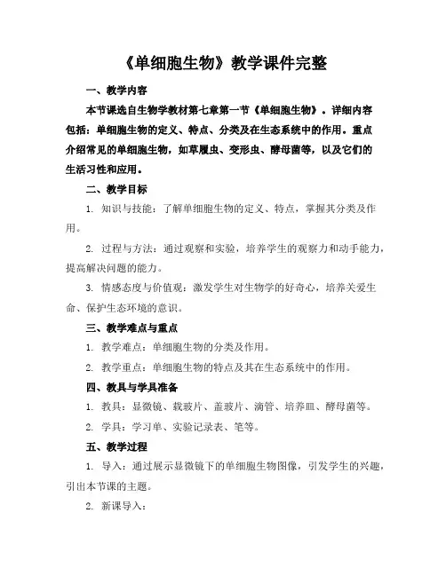 《单细胞生物》教学课件完整