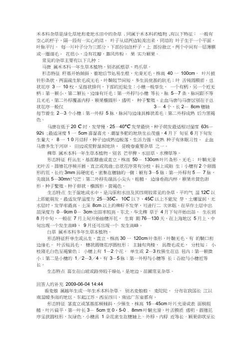 禾本科杂草