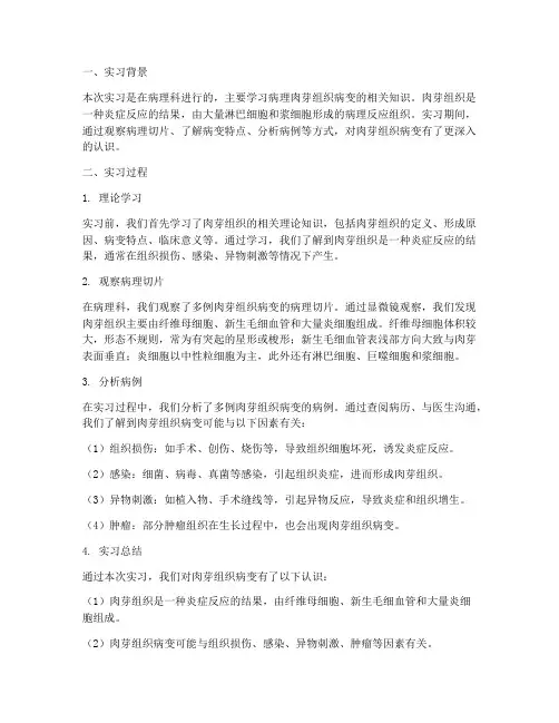 病理肉芽组织病变实习报告