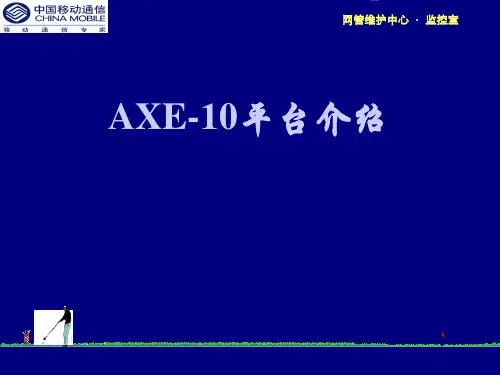 AXE-10平台介绍