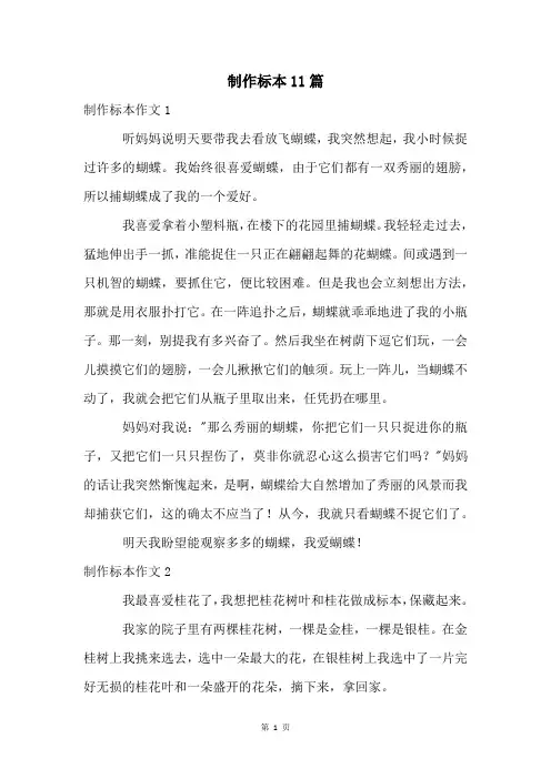 制作标本11篇