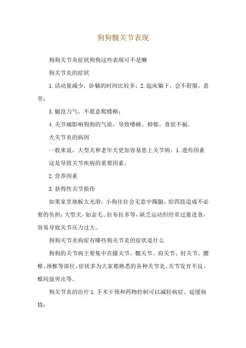 狗狗髋关节表现