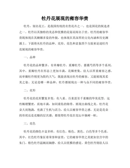 牡丹花展现的雍容华贵