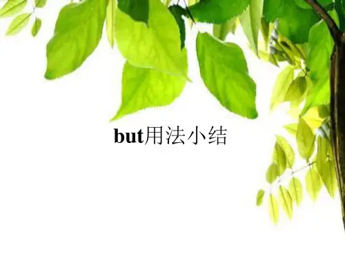 but 用法小结