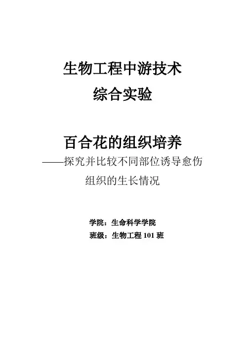 植物组织培养综合实验报告