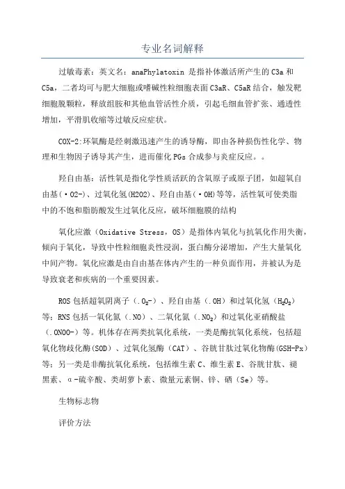专业名词解释