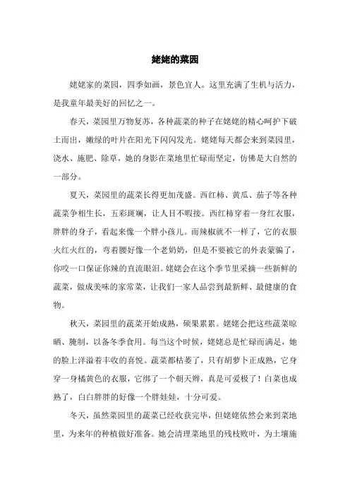 姥姥的菜园作文400字春夏秋冬