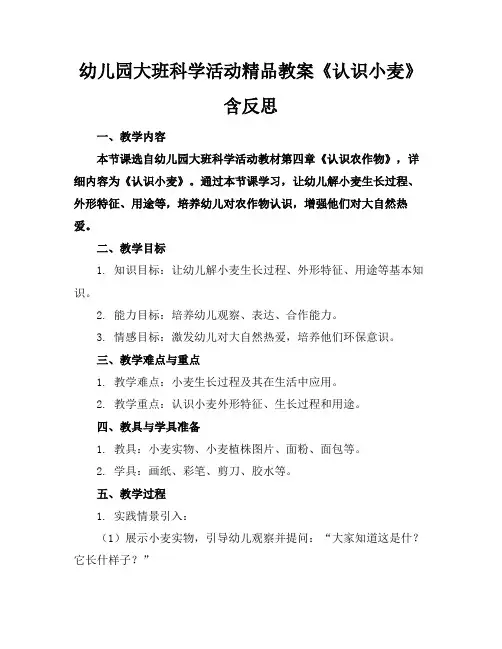 幼儿园大班科学活动精品教案《认识小麦》含反思