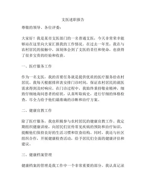 支医述职报告