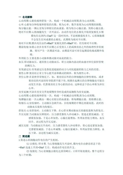 人体解剖作业 第六章