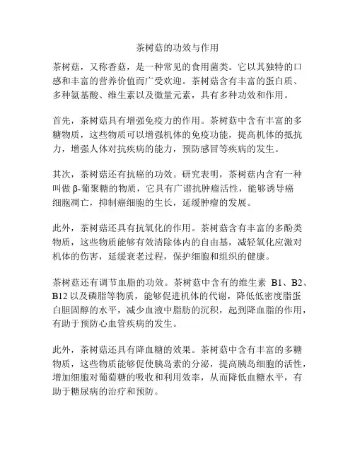 茶树菇的功效与作用