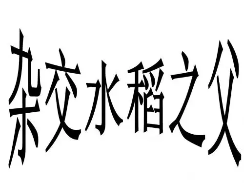 杂家水稻之父