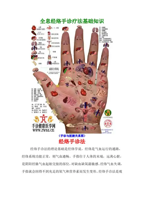 全息经络手诊疗法基础知识