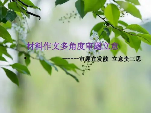 材料作文写作之多角度审题立意课件(共33张PPT)