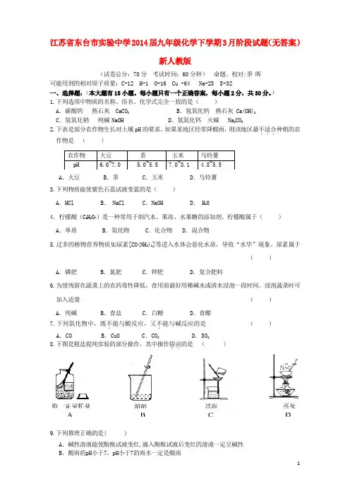 江苏省东台市实验中学九年级化学下学期3月阶段试题(无答案) 新人教版