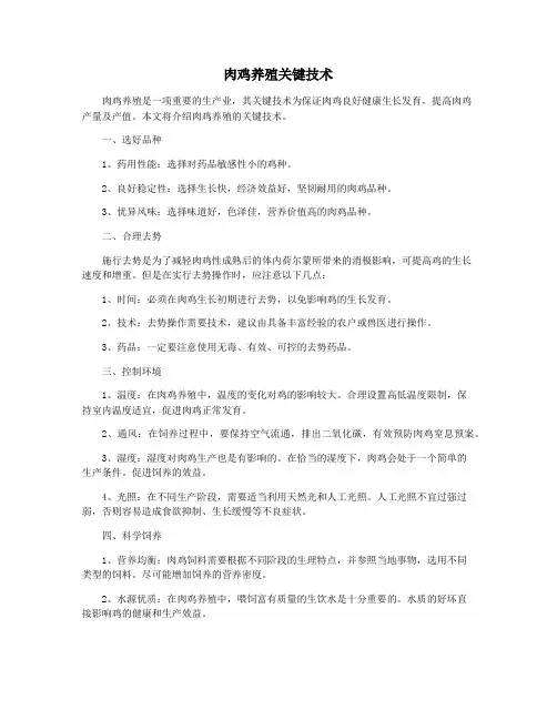 肉鸡养殖关键技术