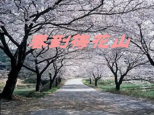 《春到梅花山》PPT课件(上课用)3