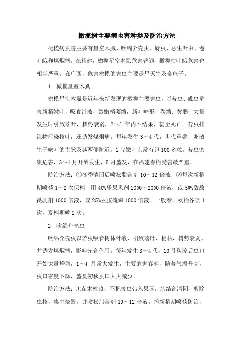 橄榄树主要病虫害种类及防治方法