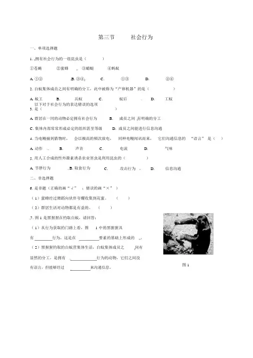 八年级生物上册523社会行为校本作业新版新人教版