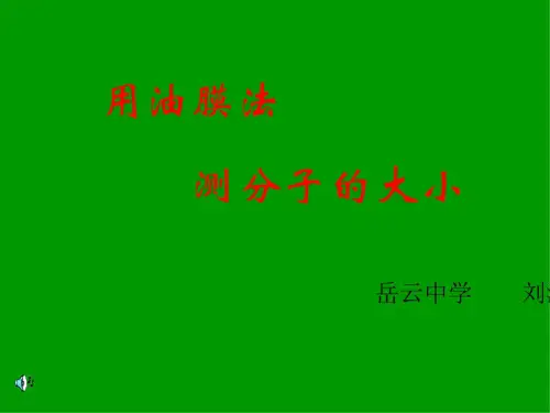 高二物理上学期物理实验：油膜法测分子直径新人教版
