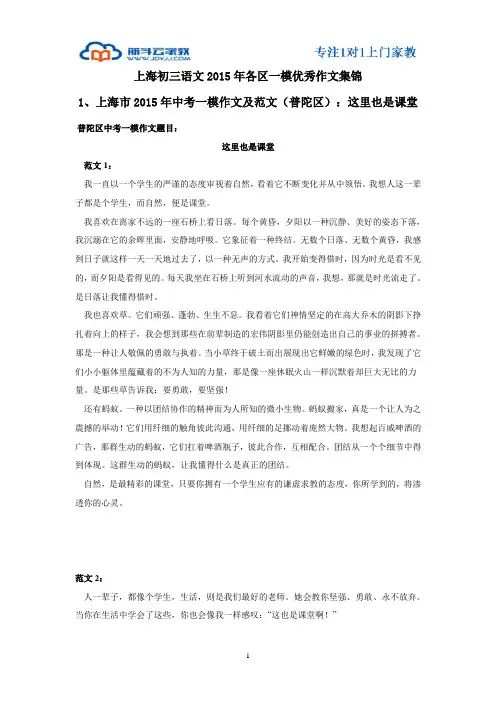 上海初三语文历年各区一模优秀作文集锦