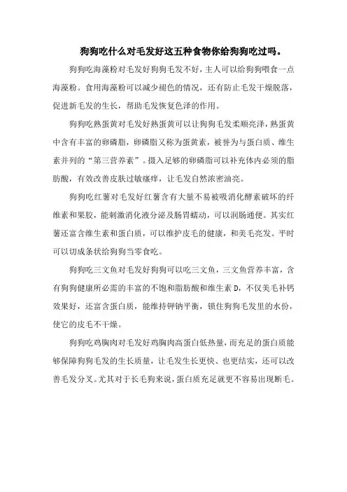 狗狗吃什么对毛发好这五种食物你给狗狗吃过吗