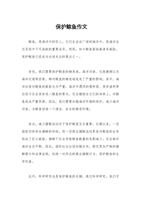 保护鲸鱼作文