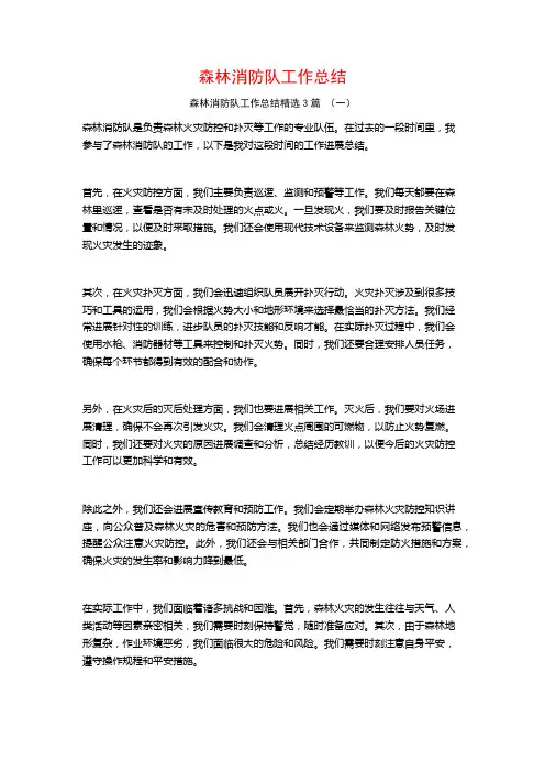 森林消防队工作总结3篇
